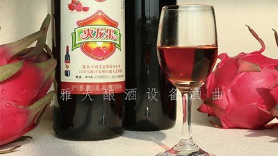 雅大釀酒設(shè)備廠家，果酒研發(fā)一年四季不打烊