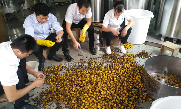 12.15刺梨釀酒技術(shù)-挑選除梗