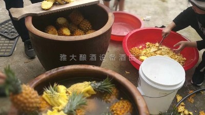 用果酒釀酒設(shè)備做菠蘿酒，簡單易學(xué)，只需簡單幾步。